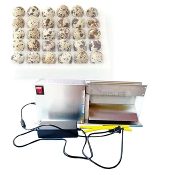 машина для снятия скорлупы с перепелиных яиц / машина для разбивания скорлупы мелких вареных яиц